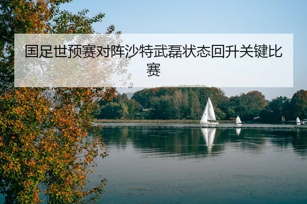guo-zu-shi-yu-sai-dui-zhen-sha-te-wu-lei-zhuang-tai-hui-sheng-guan-jian-bi-sai-1-830.jpg